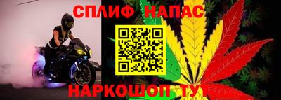 дмт Пушкино