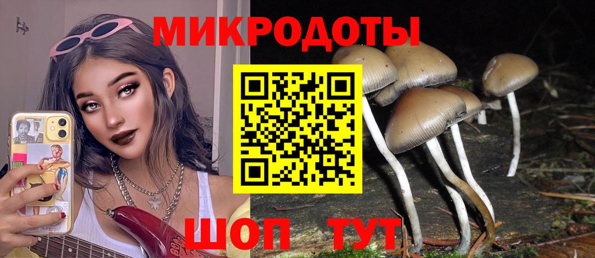 Саратов  Галлюциногенные грибы MAGIC MUSHROOMS  Вход с VPN  Галлюциногенные грибы мухоморы 