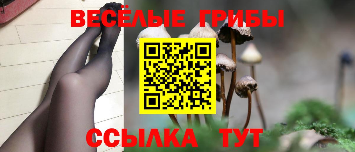 Псилоцибиновые грибы Magic Shrooms Саратов